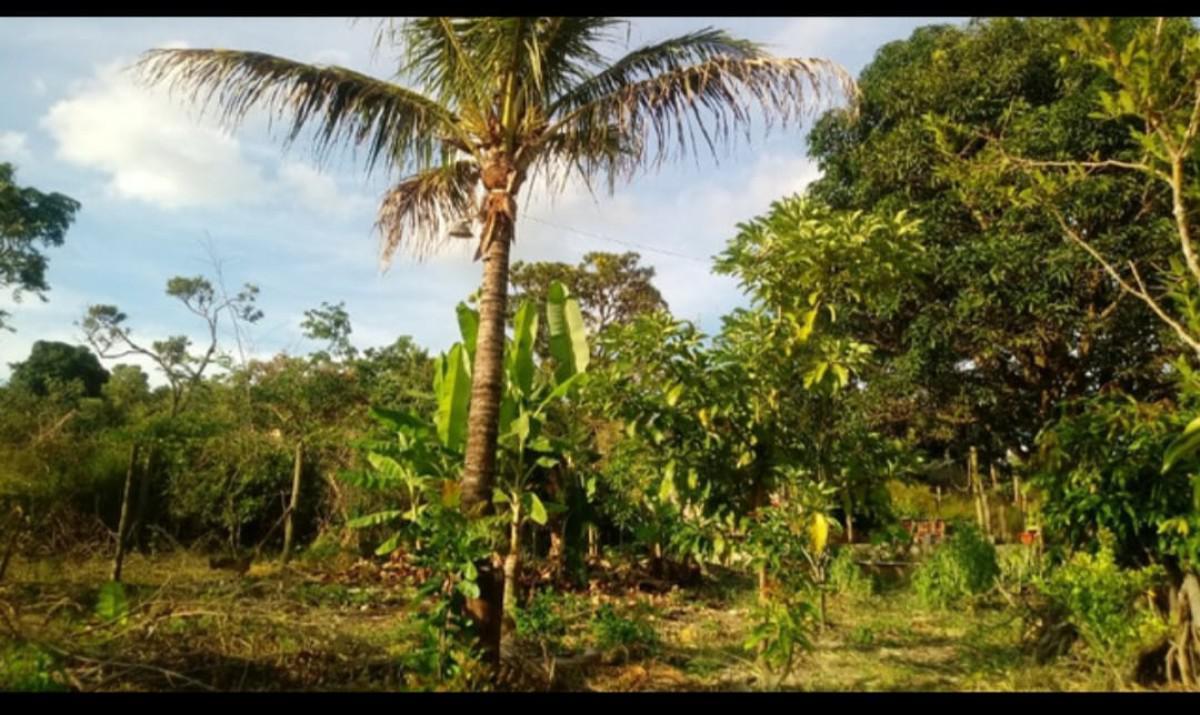 Fazenda, Recreio dos Bandeirantes, 2 Quartos, 3 Vagas