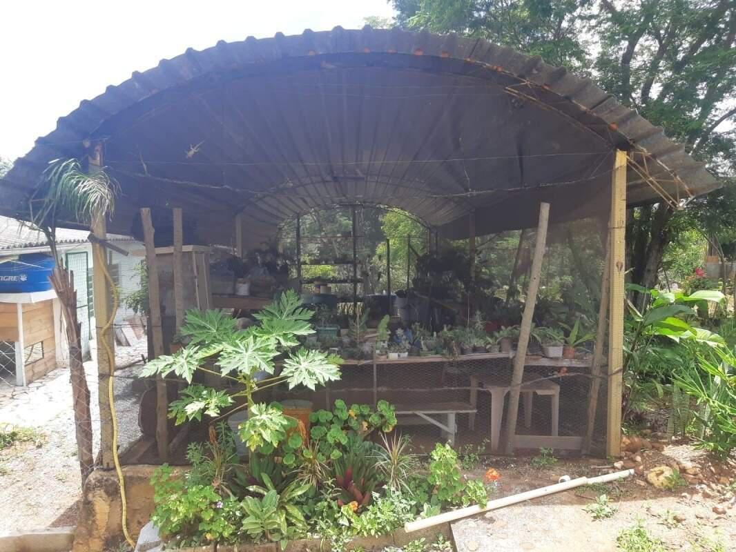 Fazenda, Campo Alegre, 6 Quartos, 0 Vaga