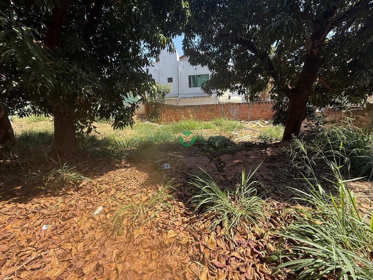 Lote, Universitário, 0 Quarto, 0 Vaga