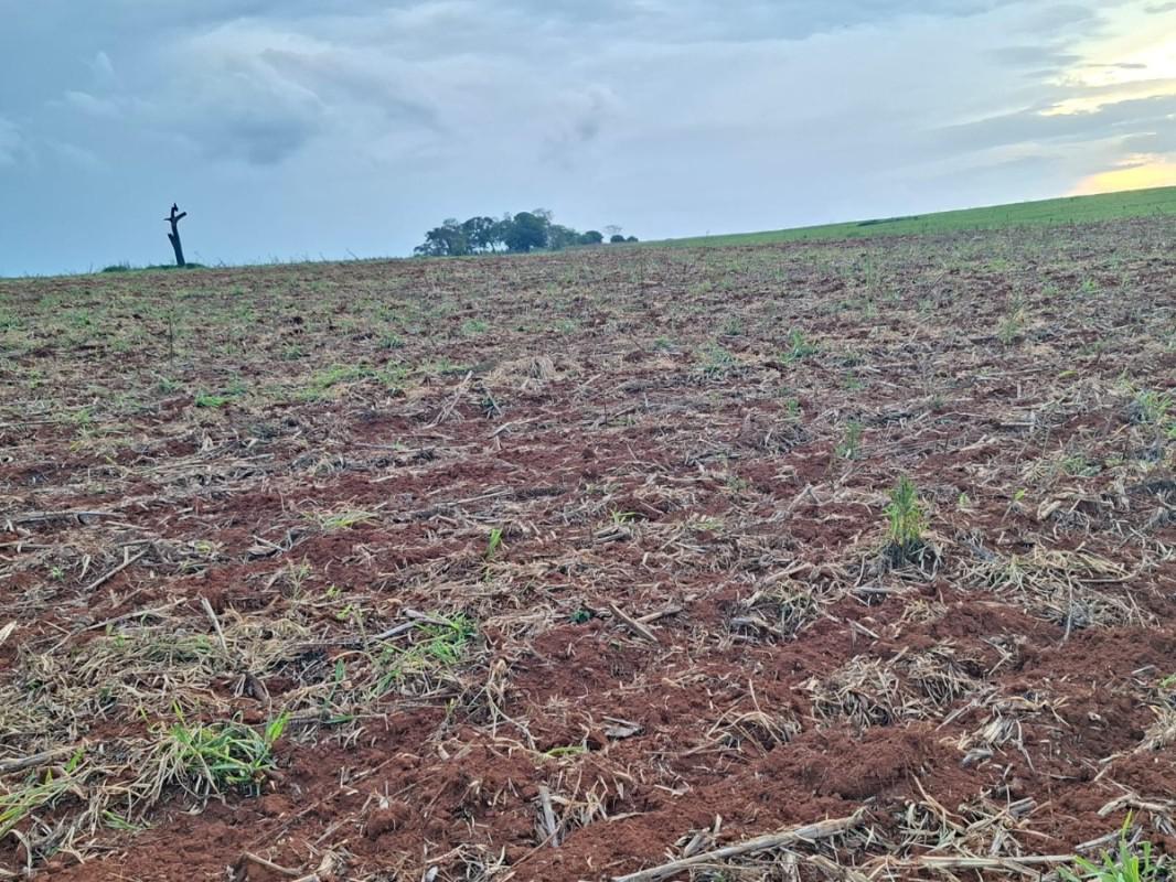 Fazenda, Zona Rural, 0 Quarto, 0 Vaga