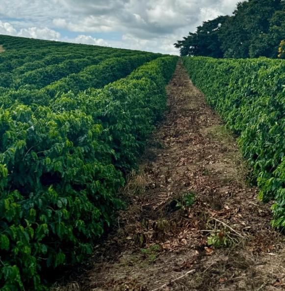 Fazenda, Zona Rural, 2 Quartos, 0 Vaga