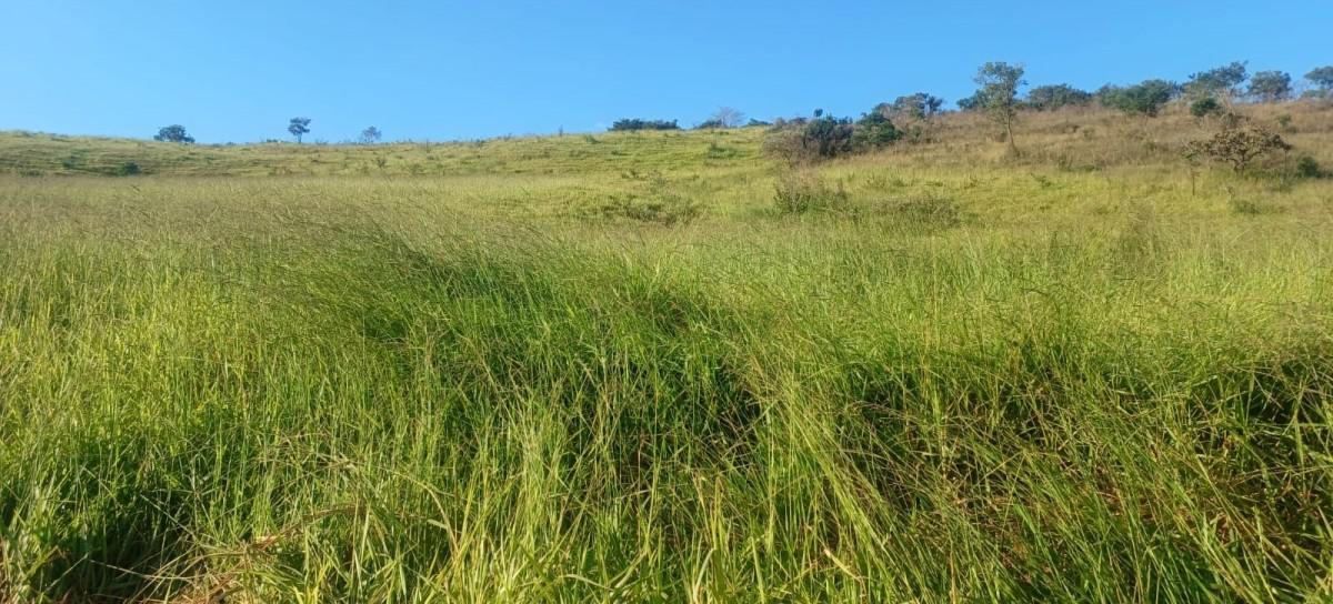 Fazenda, Zona Rural, 0 Quarto, 0 Vaga
