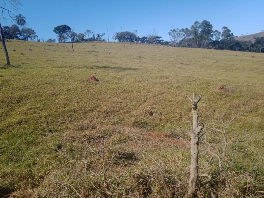 Fazenda, Centro, 0 Quarto, 0 Vaga