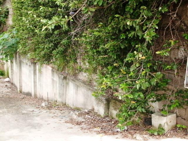 Lote, Coração Eucarístico, 0 Quarto, 0 Vaga