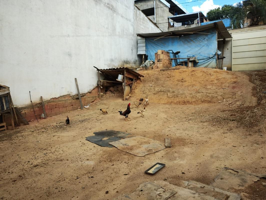 Lote, Oitis, 0 Quarto, 0 Vaga