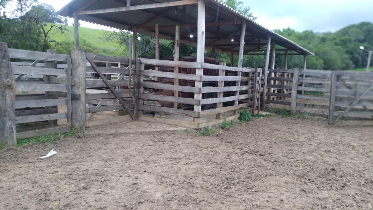 Fazenda, Zona Rural, 0 Quarto, 0 Vaga