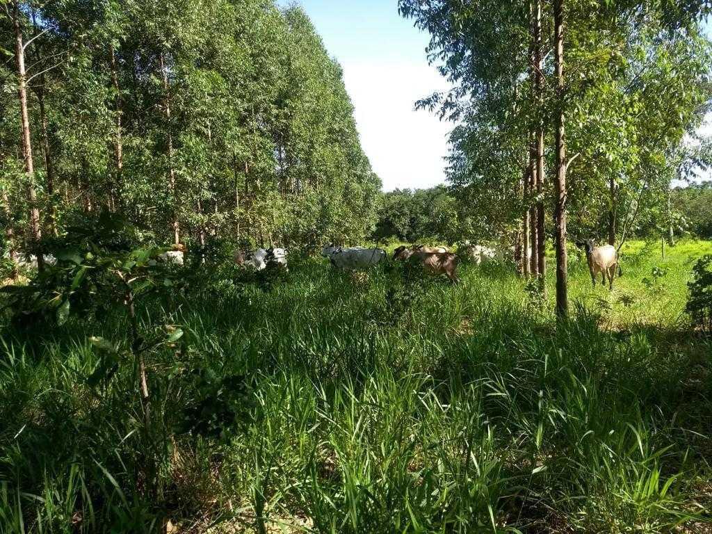 Fazenda, Zona Rural, 3 Quartos, 0 Vaga