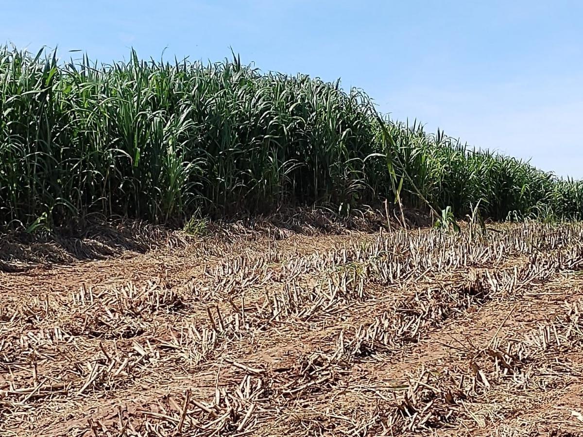 Fazenda, Zona Rural, 4 Quartos, 2 Vagas