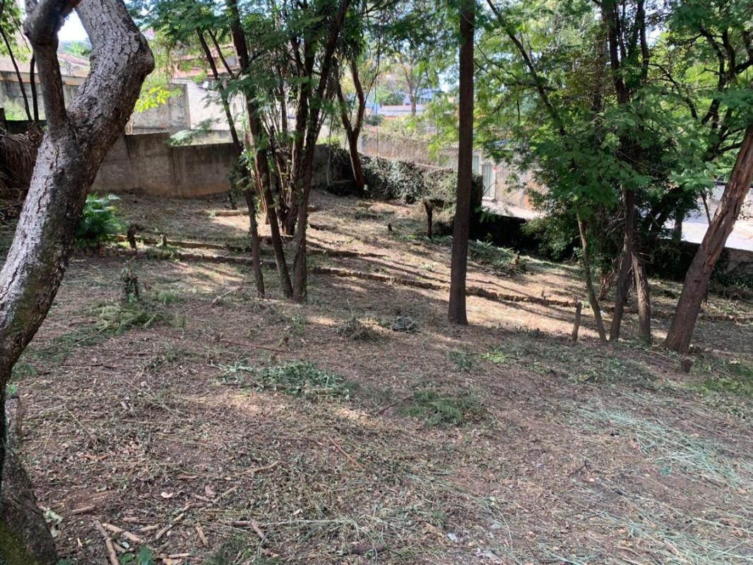 Lote, Santa Mônica, 0 Quarto, 0 Vaga