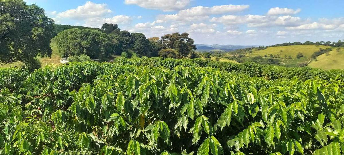 Fazenda, Zona Rural, 4 Quartos, 0 Vaga