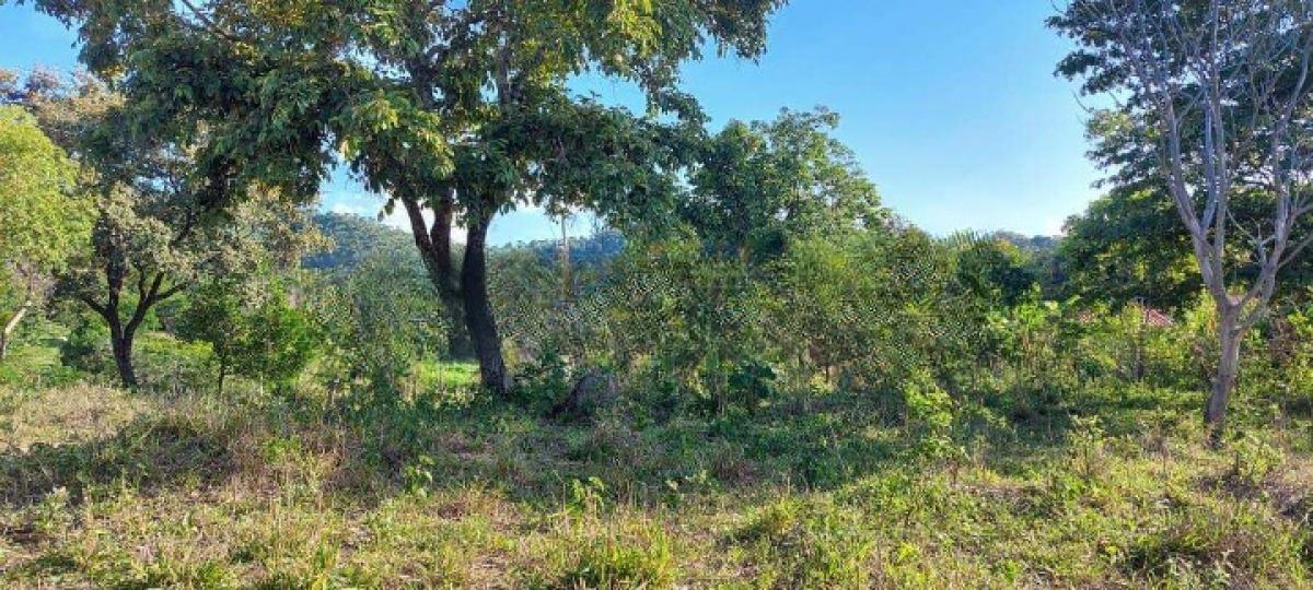 Fazenda, Area Rural de Santa Luzia, 0 Quarto, 0 Vaga