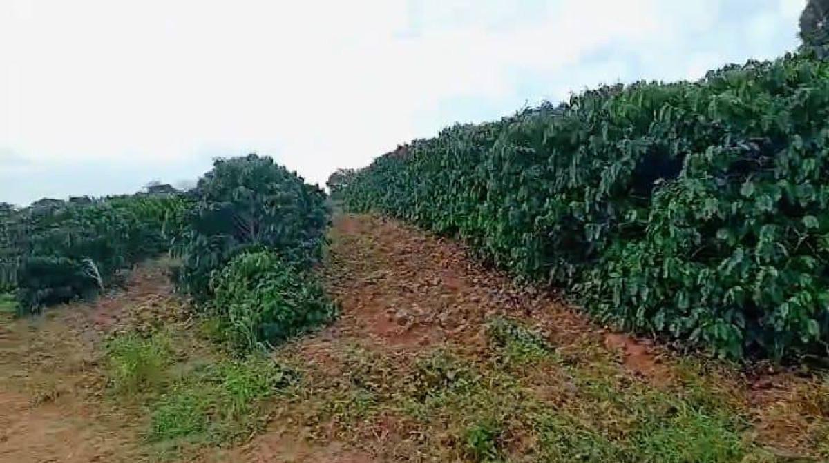 Fazenda, Zona Rural, 0 Quarto, 0 Vaga