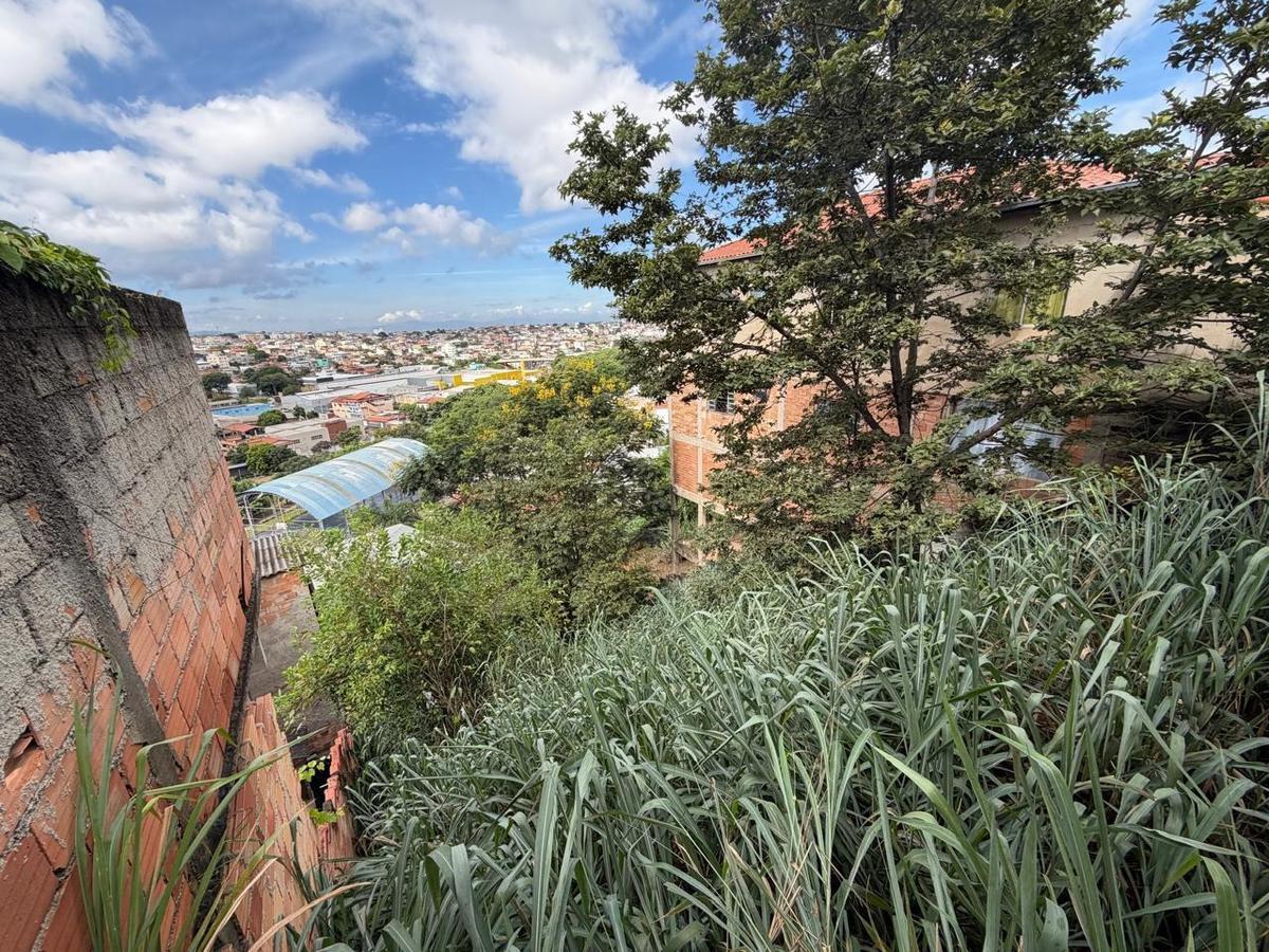 Lote, Tropical, 0 Quarto, 0 Vaga