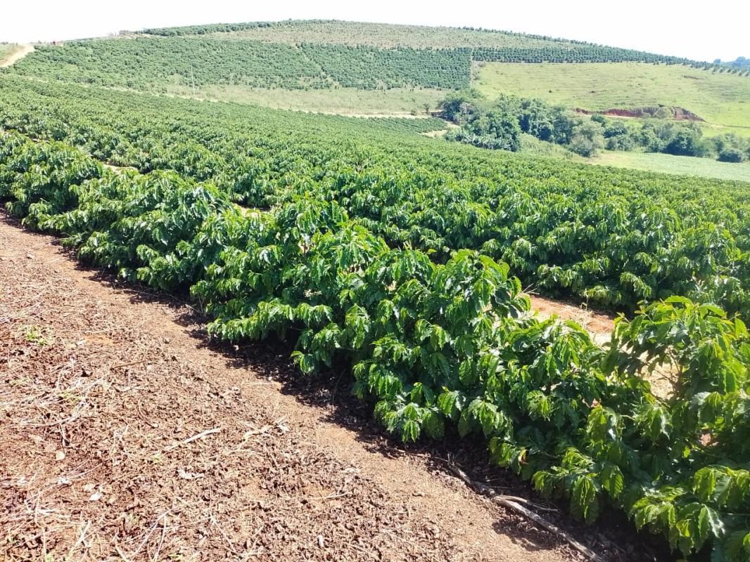 Fazenda, Zona Rural, 0 Quarto, 0 Vaga