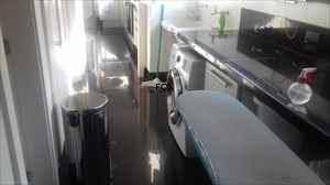 Apartamento, Santa Lúcia, 4 Quartos, 4 Vagas, 2 Suítes