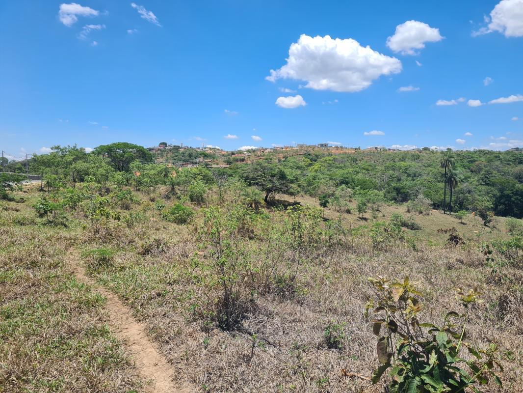 Lote, Novo Retiro, 0 Quarto, 0 Vaga