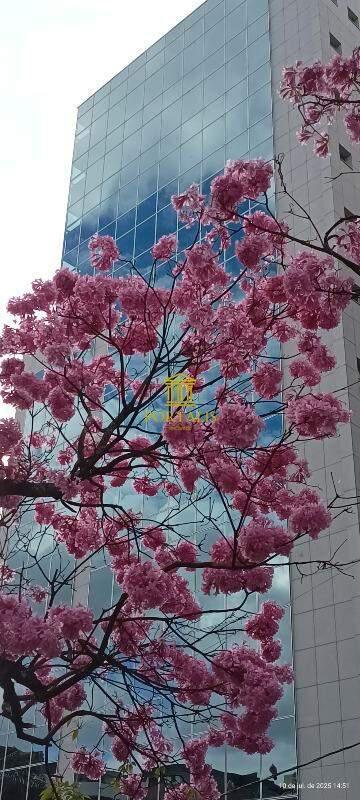 Andar, Santa Efigênia, 0 Quarto, 1 Vaga