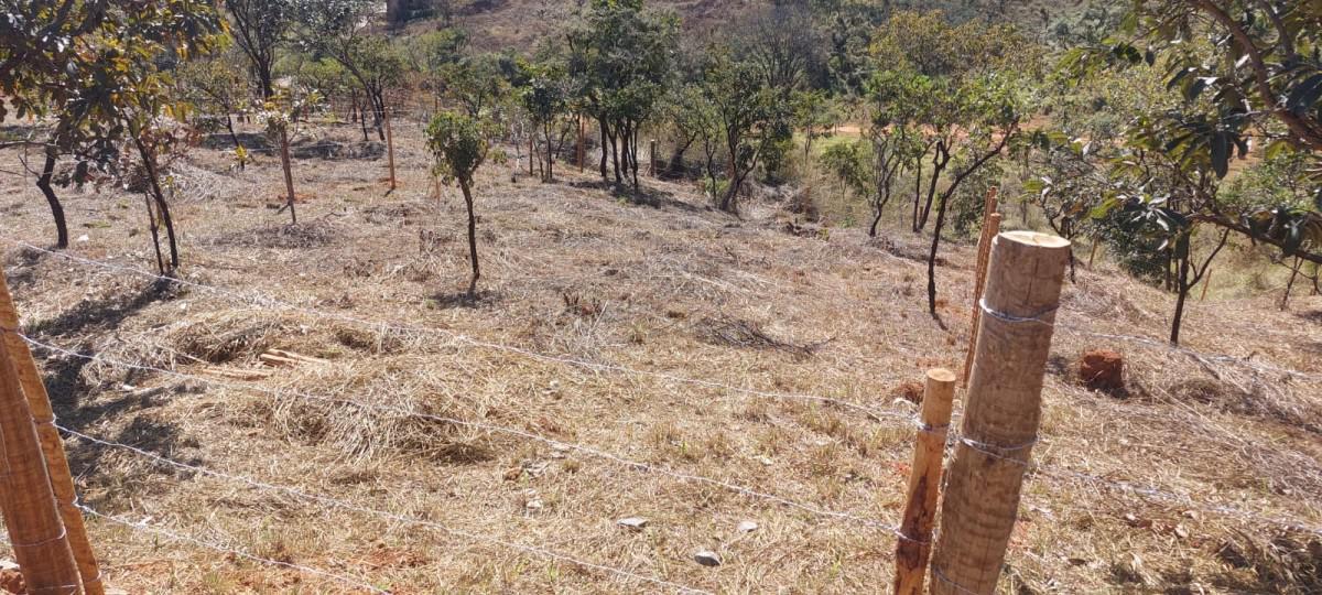 Lote, Presidente, 0 Quarto, 0 Vaga