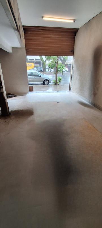 Andar, Floresta, 0 Quarto, 0 Vaga