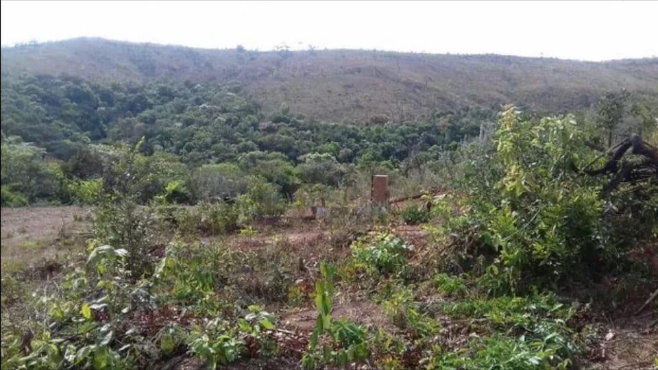 Lote, Morro Vermelho, 0 Quarto, 0 Vaga