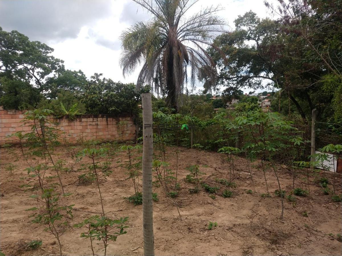 Lote, Tropeiros, 0 Quarto, 0 Vaga