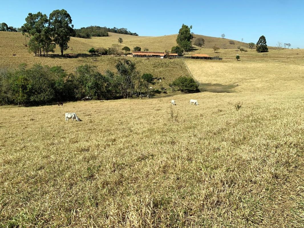 Fazenda, Zona Rural, 0 Quarto, 0 Vaga