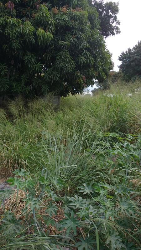 Lote, Betim Industrial, 0 Quarto, 0 Vaga