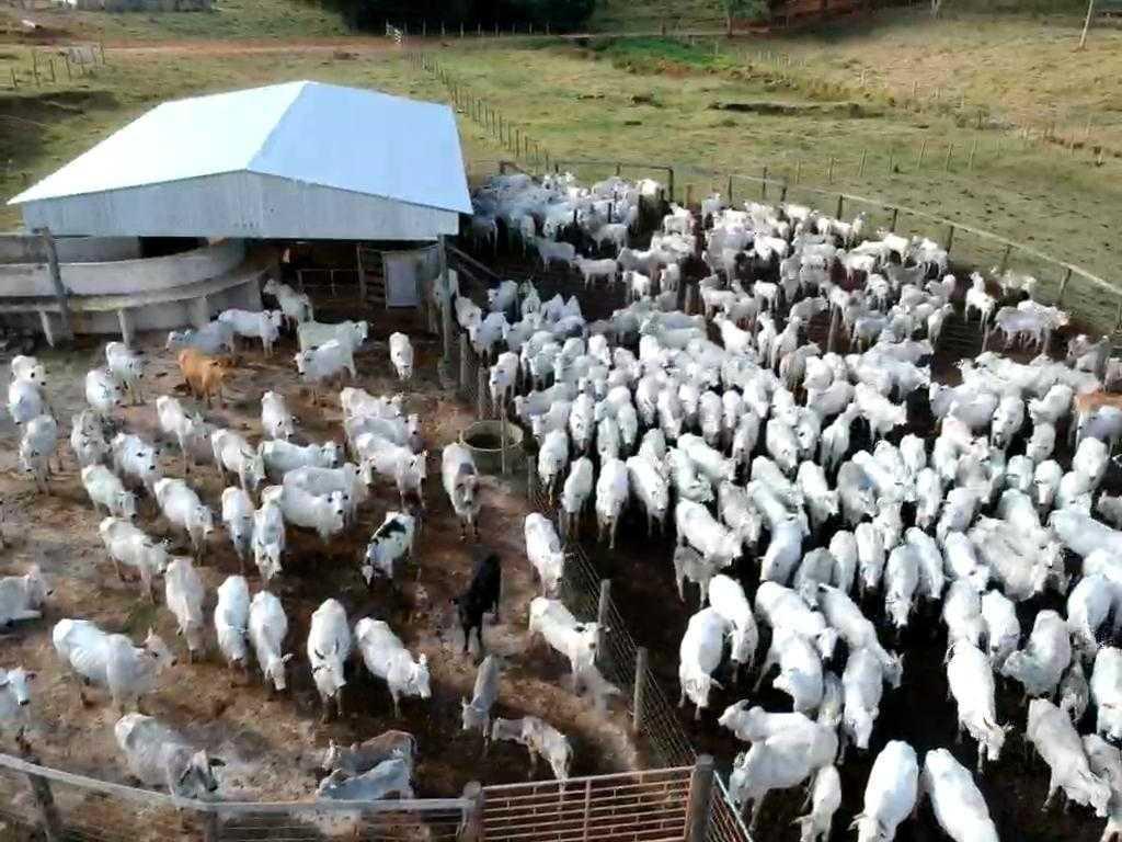 Fazenda, Zona Rural, 4 Quartos, 0 Vaga