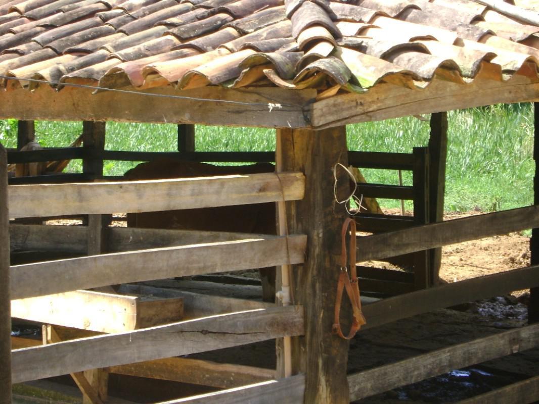 Fazenda, Centro, 3 Quartos, 1 Vaga