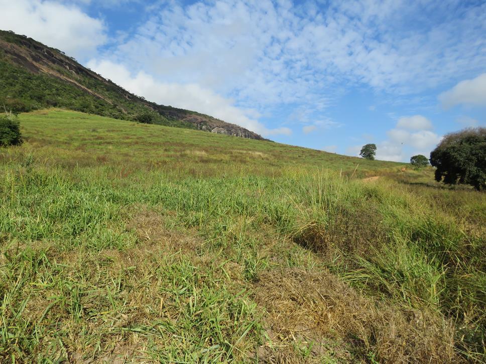 Fazenda, Zona Rural, 3 Quartos, 1 Vaga, 1 Suíte