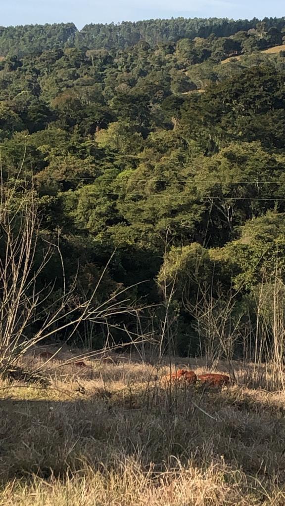 Fazenda, Zona Rural, 0 Quarto, 0 Vaga