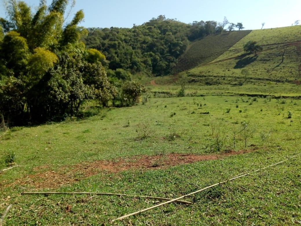 Fazenda, Centro, 1 Quarto, 1 Vaga, 1 Suíte