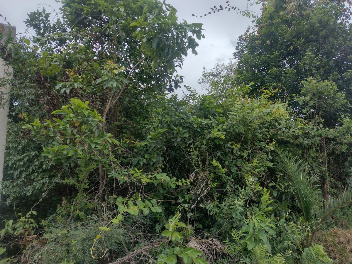 Lote, Tupã, 0 Quarto, 0 Vaga