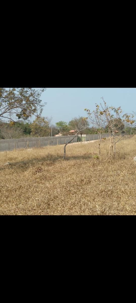 Lote, Fernao Dias, 0 Quarto, 0 Vaga