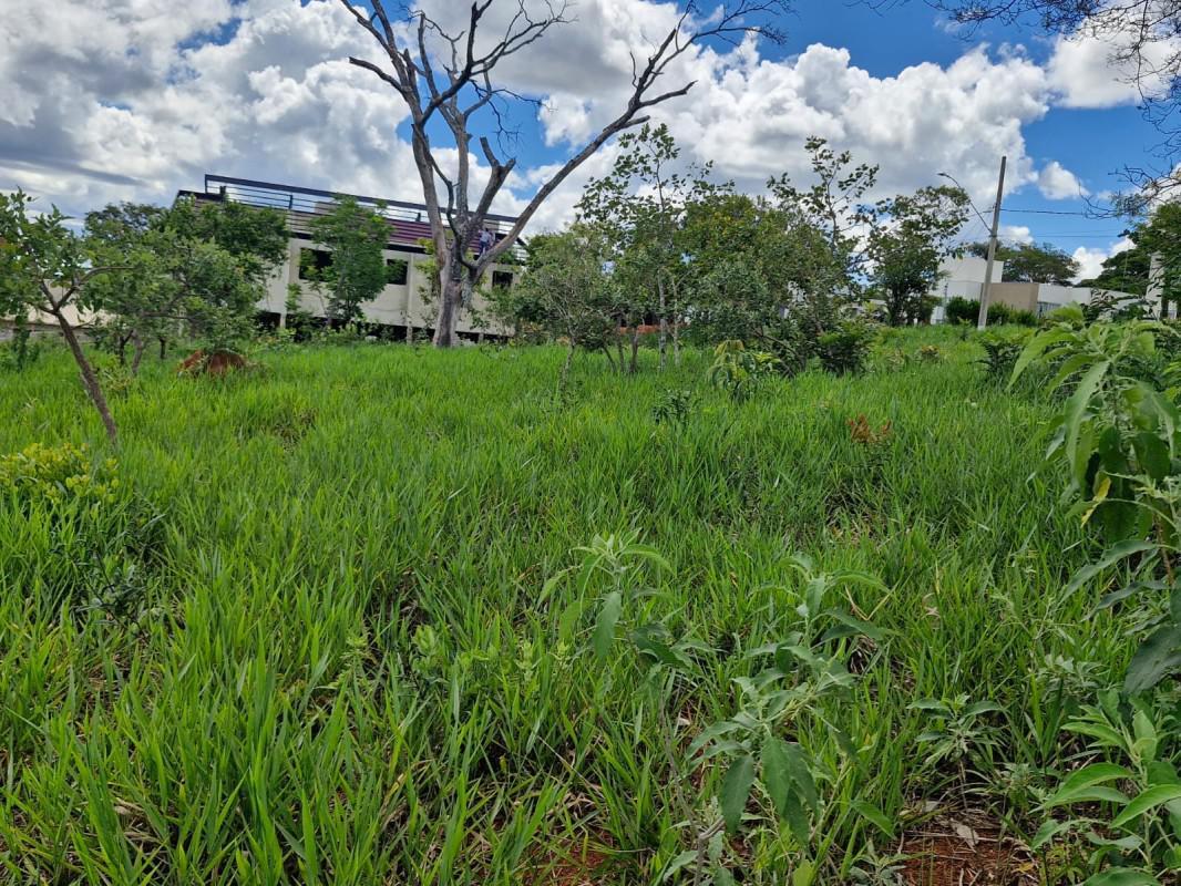 Lote, Lagoinha de Fora, 0 Quarto, 0 Vaga