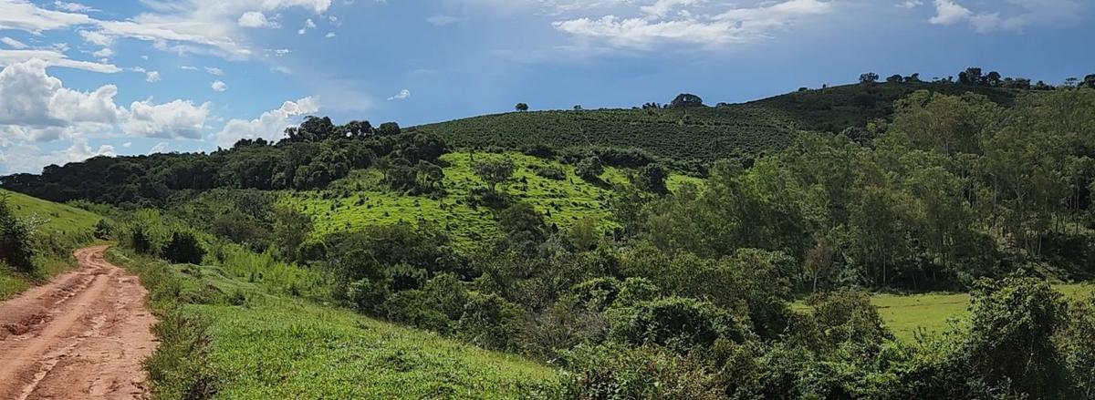 Fazenda, Zona Rural, 3 Quartos, 0 Vaga