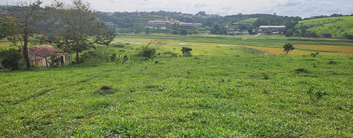 Fazenda, Zona Rural, 0 Quarto, 0 Vaga