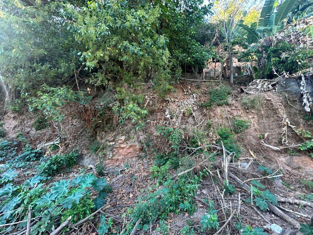 Lote, Vila Eugênio Rossi, 0 Quarto, 0 Vaga