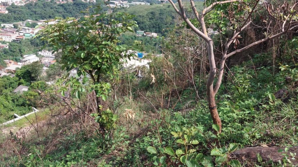 Lote, Morro São Francisco, 0 Quarto, 0 Vaga