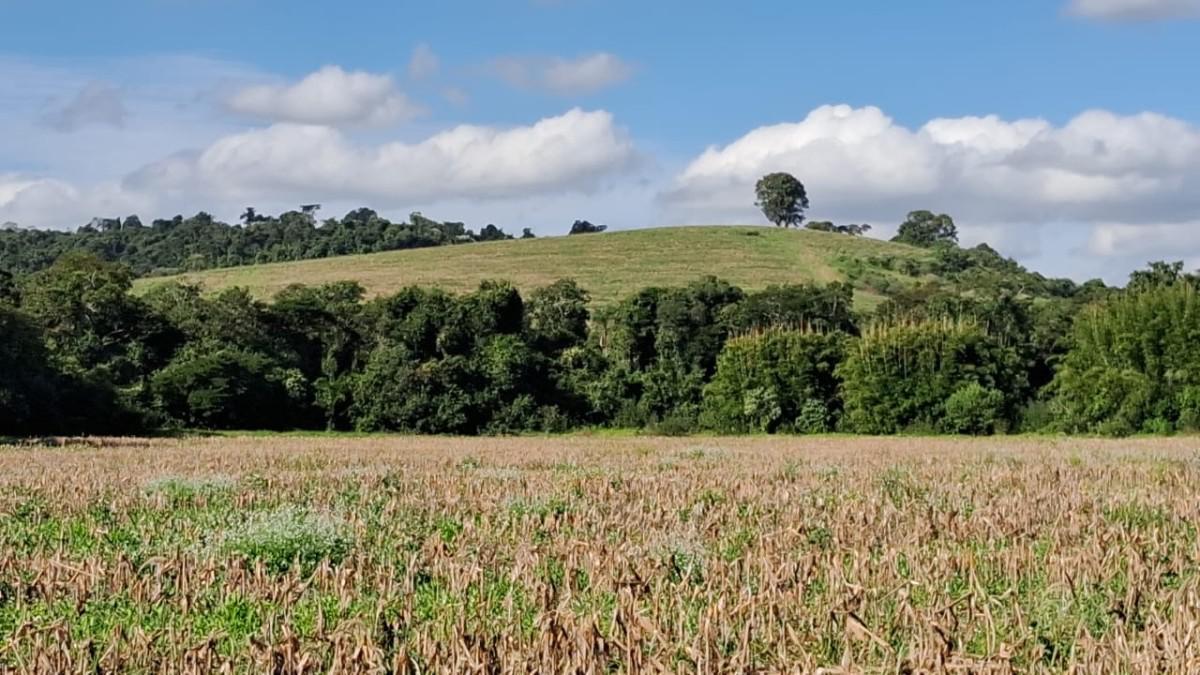 Fazenda, Centro, 0 Quarto, 0 Vaga