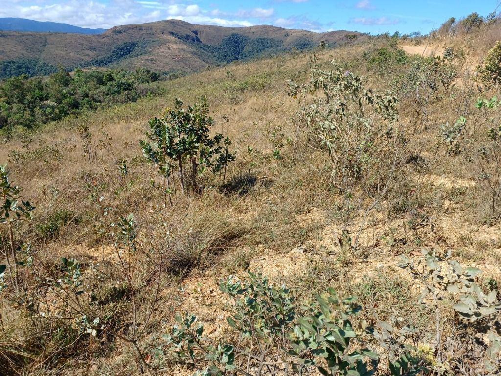 Lote, Morro Vermelho, 0 Quarto, 0 Vaga