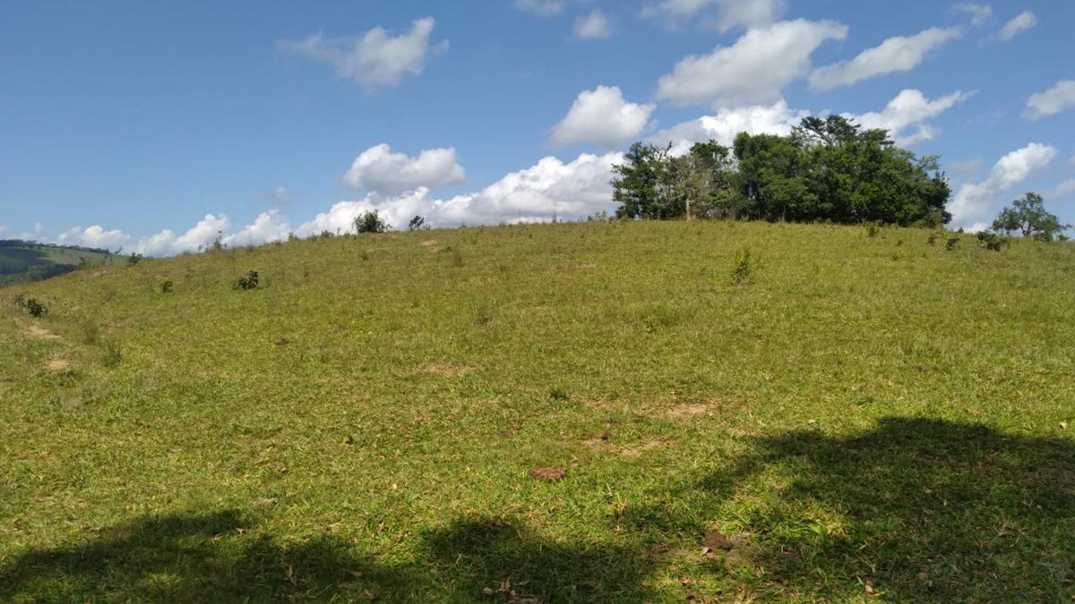 Fazenda, Centro, 0 Quarto, 0 Vaga