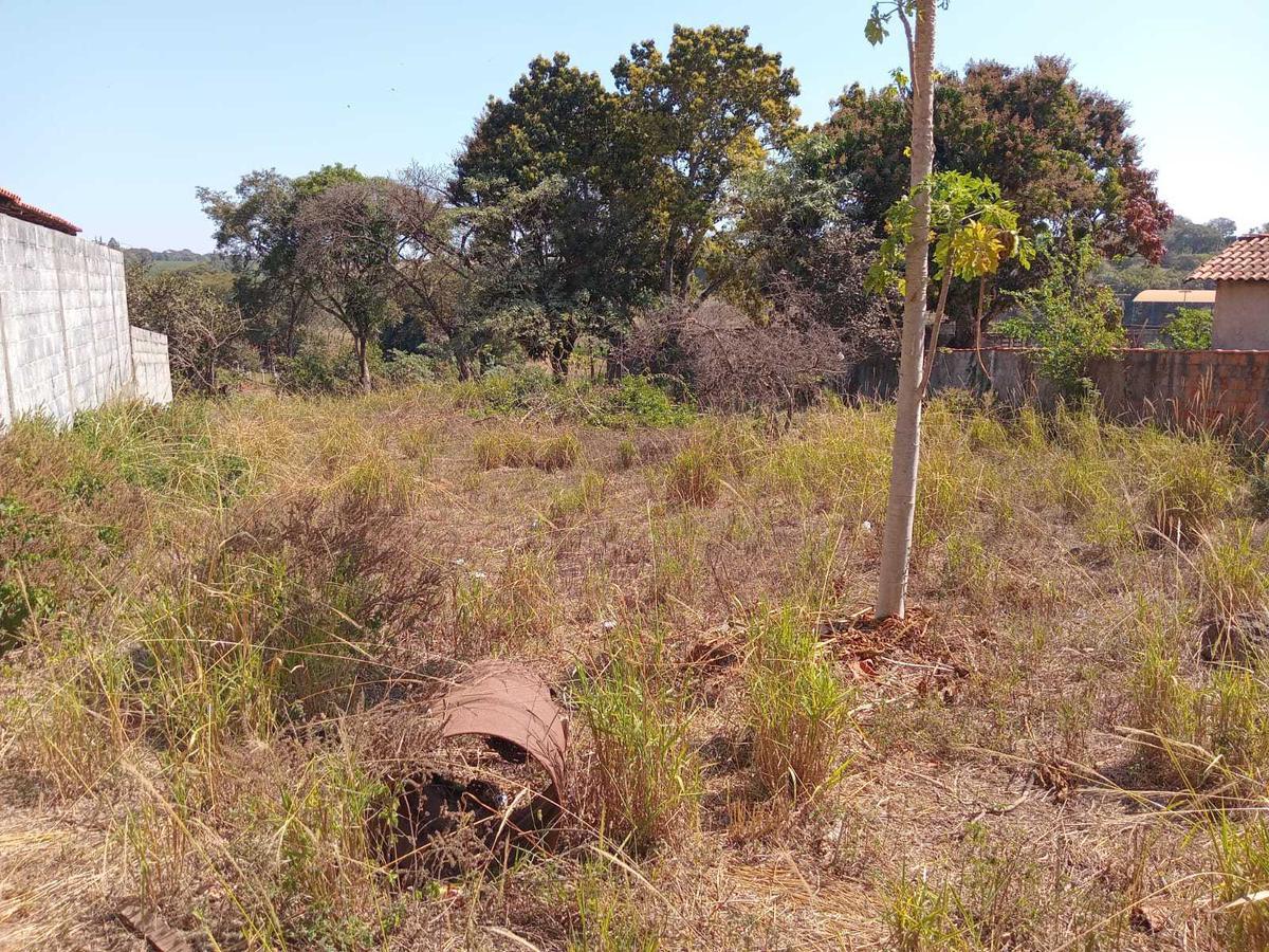 Lote, Centro, 0 Quarto, 0 Vaga