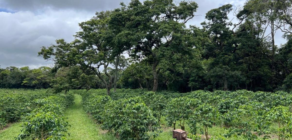 Fazenda, Zona Rural, 0 Quarto, 0 Vaga
