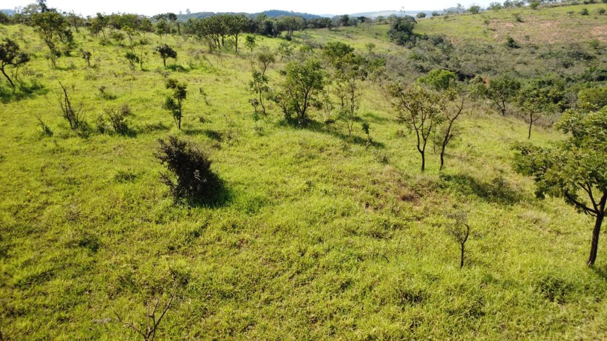 Fazenda, Zona Rural, 0 Quarto, 0 Vaga