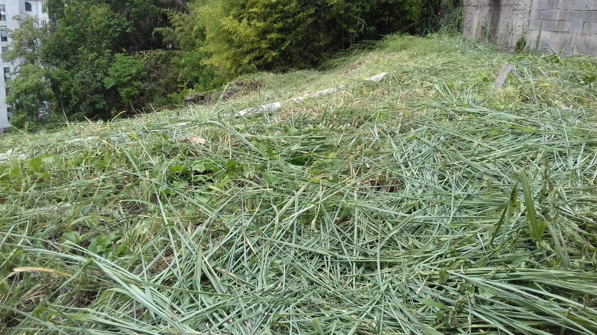 Lote, Nova Floresta, 0 Quarto, 0 Vaga