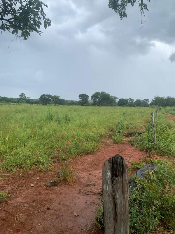 Fazenda, Zona Rural, 0 Quarto, 0 Vaga