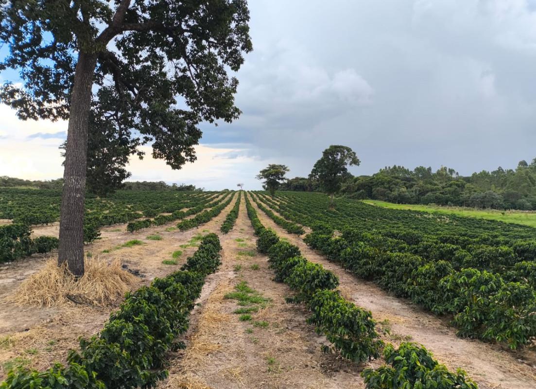 Fazenda, Zona Rural, 0 Quarto, 0 Vaga