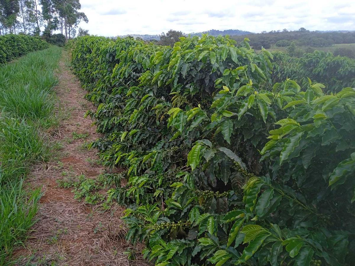 Fazenda, Zona Rural, 2 Quartos, 0 Vaga