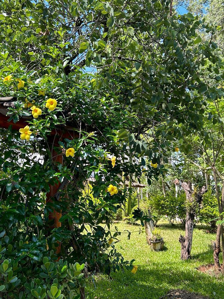 Fazenda, Zona Rural, 4 Quartos, 0 Vaga